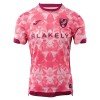 Original Fußballtrikot Norwich City Ausweichtrikot 2025-26 Für Herren